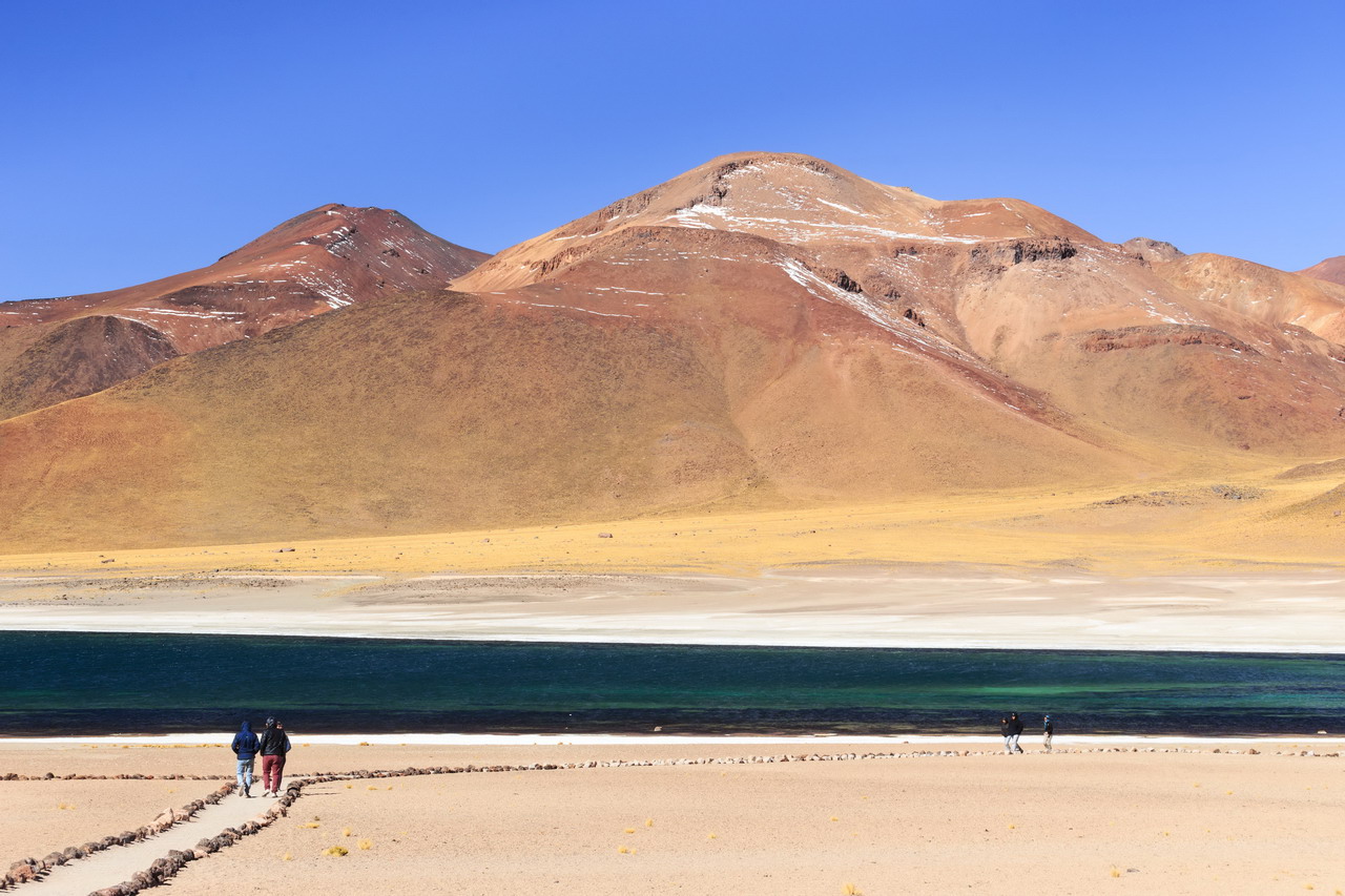 lagunas altiplanicas atacama