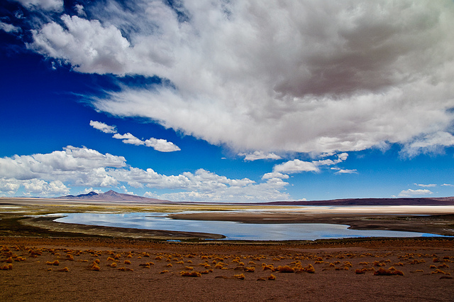 salar de tara tour