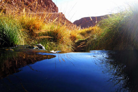 termas de puritama tour