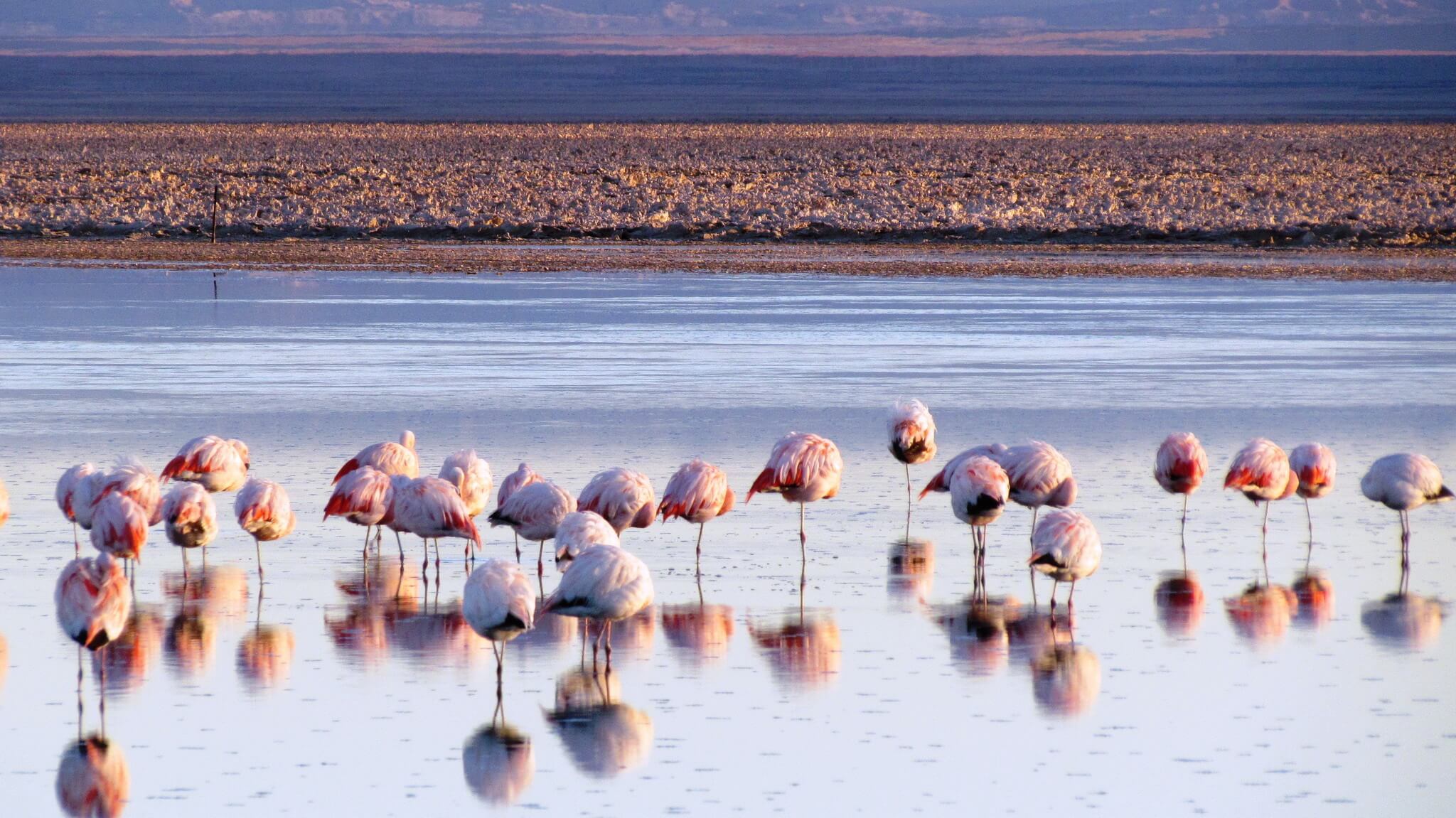 salar-de-atacama