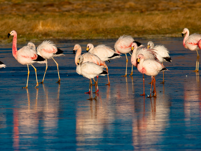 salar-de-atacama-3