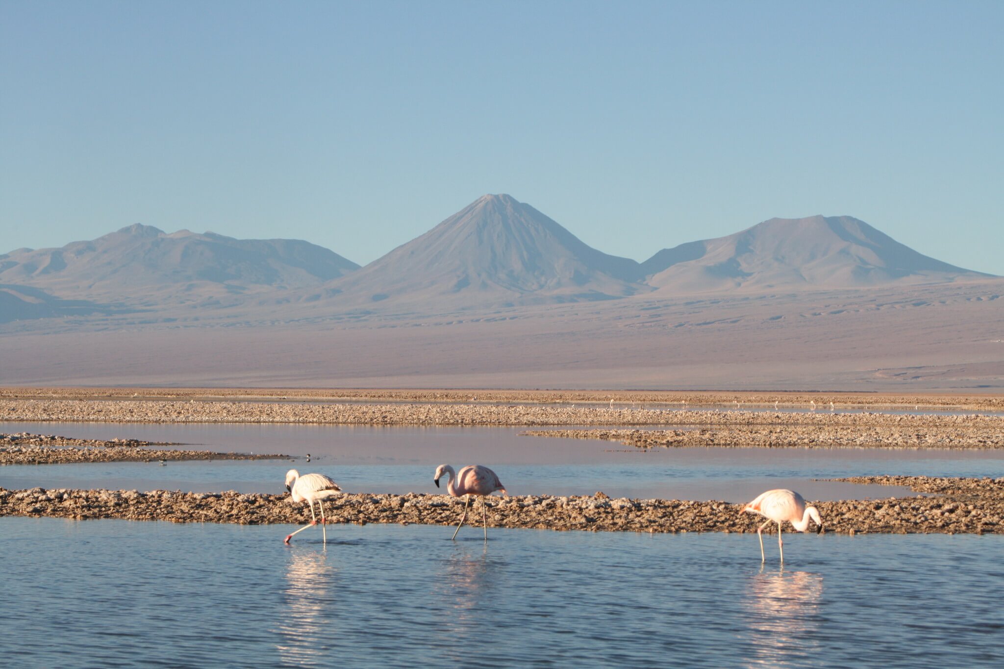 Consejos para visitar el Desierto de Atacama