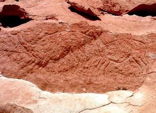 tour-san-pedro-atacama