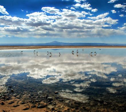 SAN PEDRO DE ATACAMA ARCHEOLOGIQUE, VALLEES, LAGUNES CEJAR, ALTIPLANES ET GEYSERS (5 jours / 4 nuits)