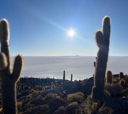 4 Jours / 3 Nuits : Découvrez la magie du salar d'Uyuni